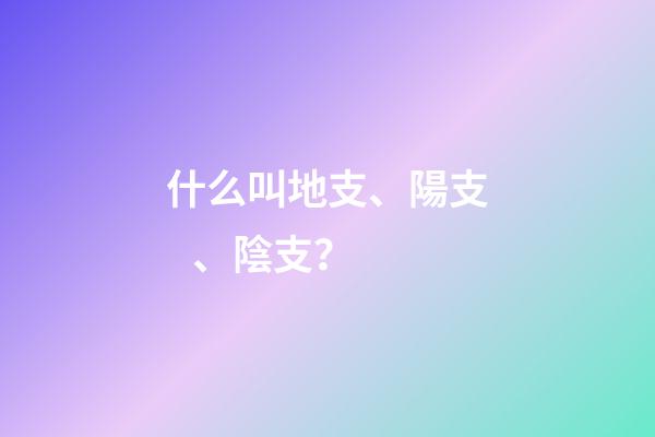 什么叫地支、陽支、陰支？